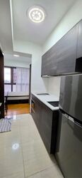 Sims Urban Oasis (D14), Condominium #571413221